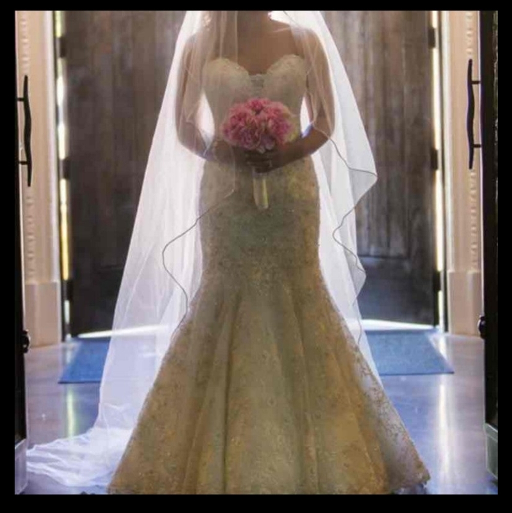 Ivory Cathedral Length Veil